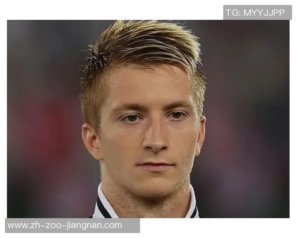 足球帅哥1的魅力与才华如何征服球迷心灵的故事