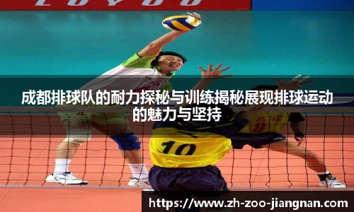 成都排球队的耐力探秘与训练揭秘展现排球运动的魅力与坚持