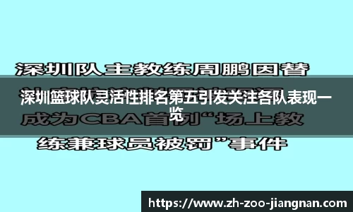 深圳篮球队灵活性排名第五引发关注各队表现一览